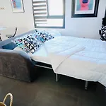 Le Perroquet Fringant, Rue Pietonne Et Quartier Historique Caen