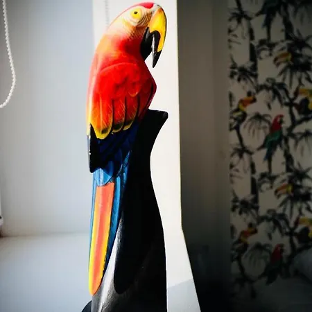 Le Perroquet Fringant, Rue Pietonne Et Quartier Historique Апартаменты Кан