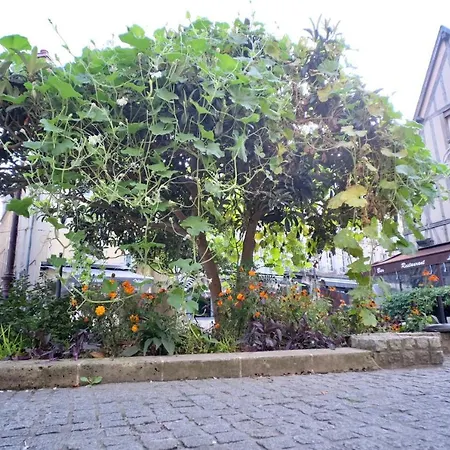 Apartament Le Perroquet Fringant, Rue Pietonne Et Quartier Historique Caen