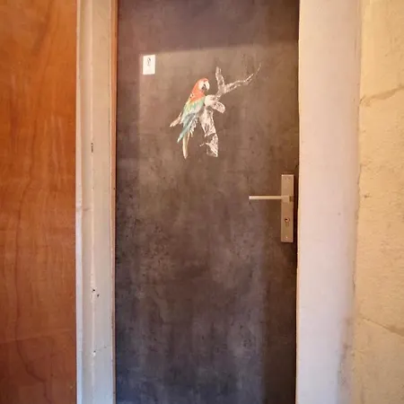 Le Perroquet Fringant, Rue Pietonne Et Quartier Historique Апартаменты *