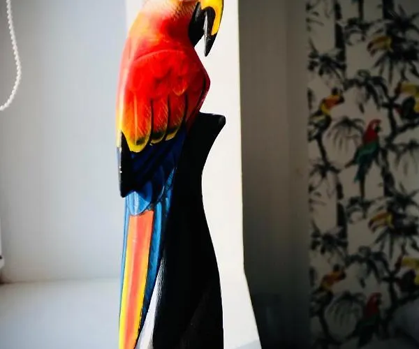 Le Perroquet Fringant, Rue Pietonne Et Quartier Historique Apartment Caen