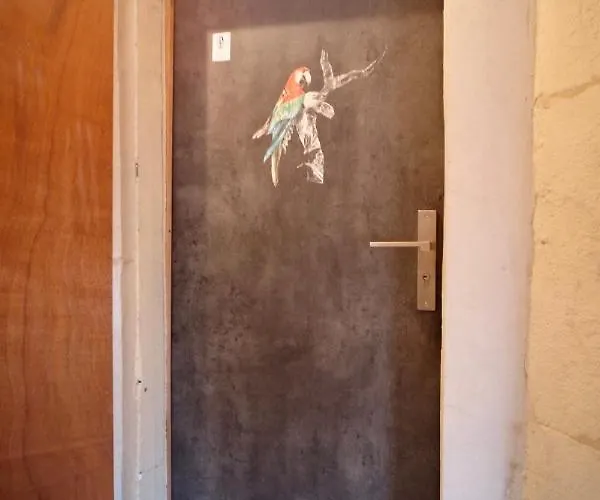 Le Perroquet Fringant, Rue Pietonne Et Quartier Historique Apartment *