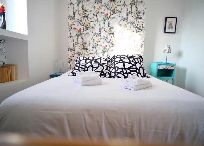 Apartment Le Perroquet Fringant, Rue Pietonne Et Quartier Historique *